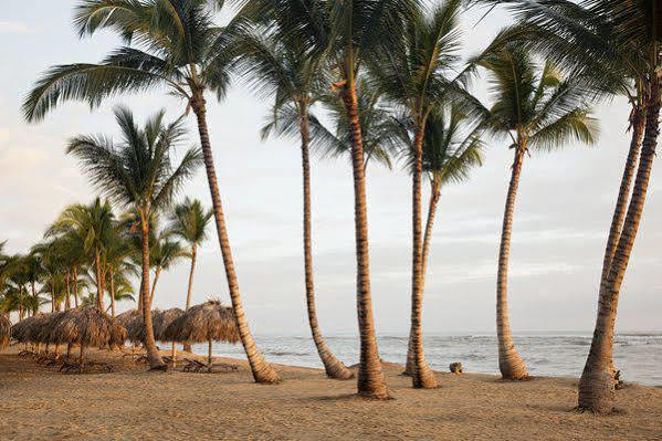 Excellence El Carmen (Adults Only) Hotell Punta Cana Exteriör bild